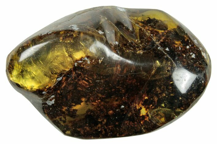 Polished Chiapas Amber ( g) - Mexico #253862